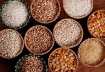 स्लिम होने के लिए खाएं मोटा अनाज, आज ही डाइट में करें शामिल | Eat coarse grains to be slim, include diet today | health – News in Hindi स्लिम होने के लिए खाएं मोटा अनाज, आज ही डाइट में करें शामिल | Eat coarse grains to be slim, include diet today | health - News in Hindi